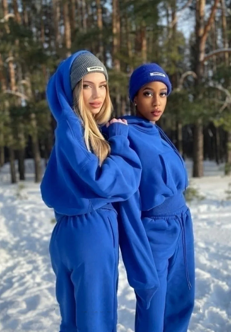 Autumn Winter Fashion Tracksuits Women Fleece Warm Hooded Sweatshirts And Pants Two Piece Sets Outfits Sports Female Clothing