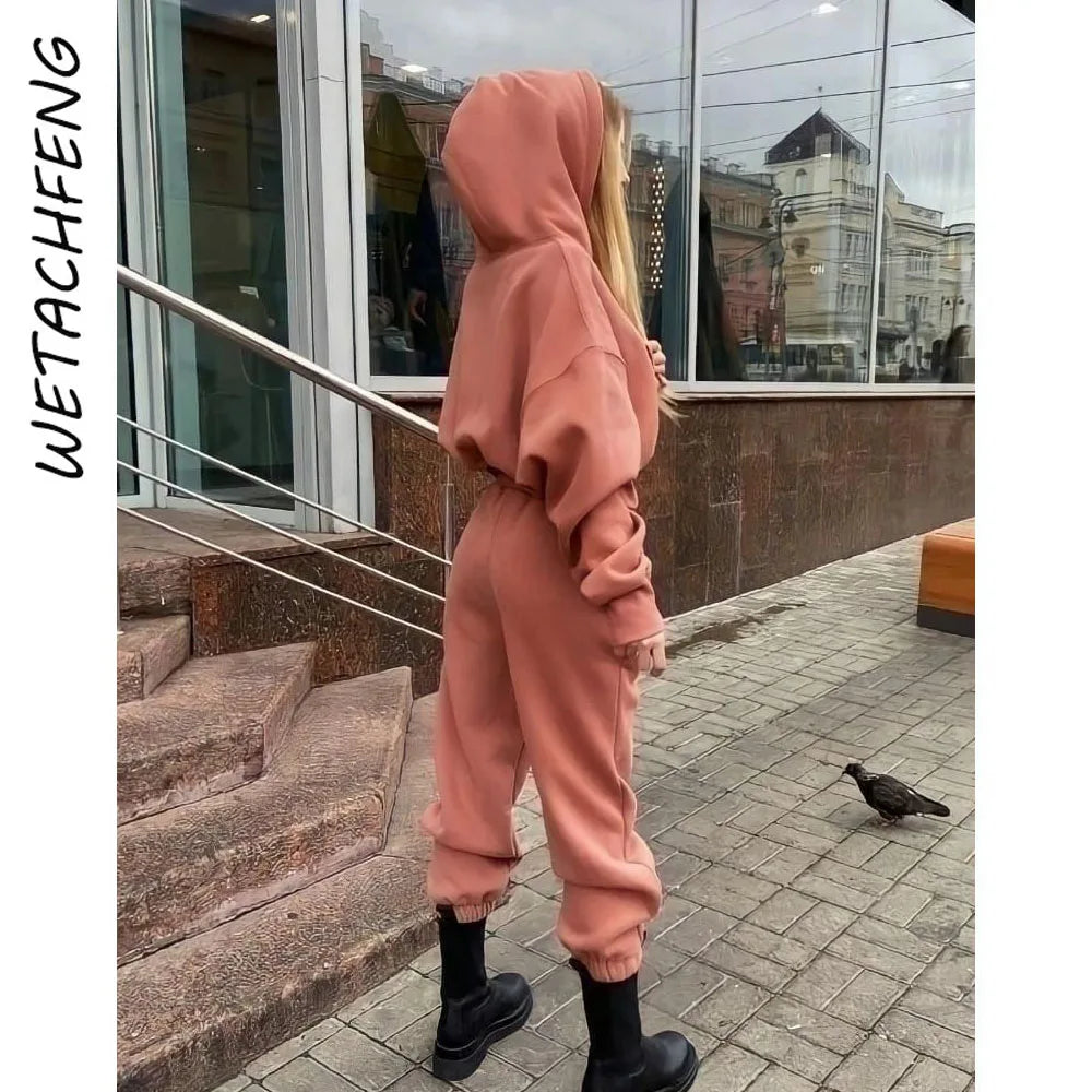 Autumn Winter Fashion Tracksuits Women Fleece Warm Hooded Sweatshirts And Pants Two Piece Sets Outfits Sports Female Clothing