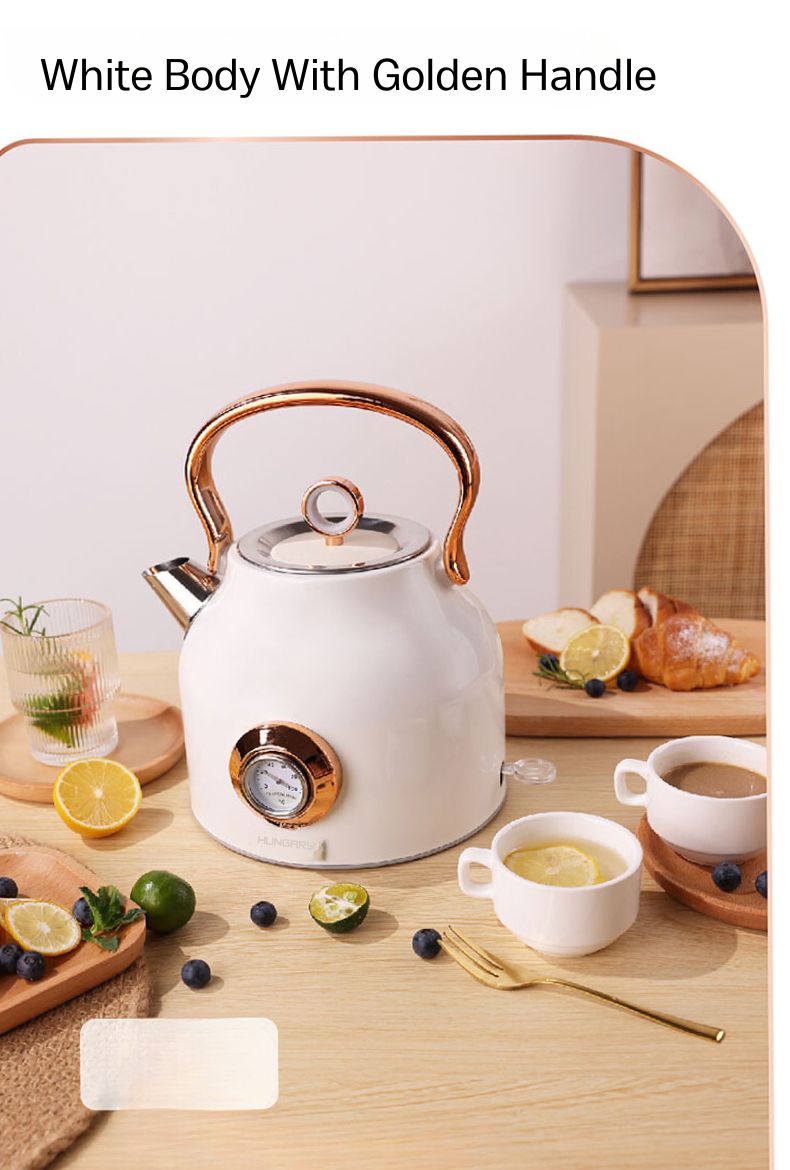 NNEDSZ 1.7L Electric Water Kettle