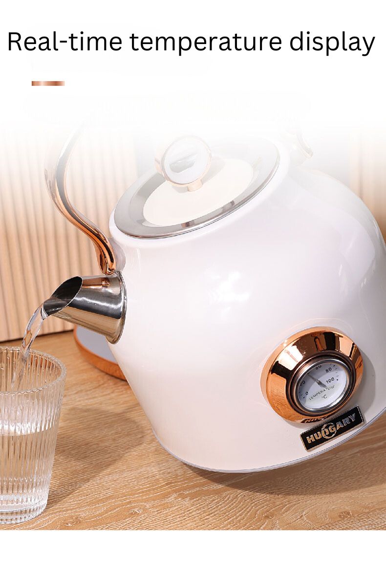 NNEDSZ 1.7L Electric Water Kettle
